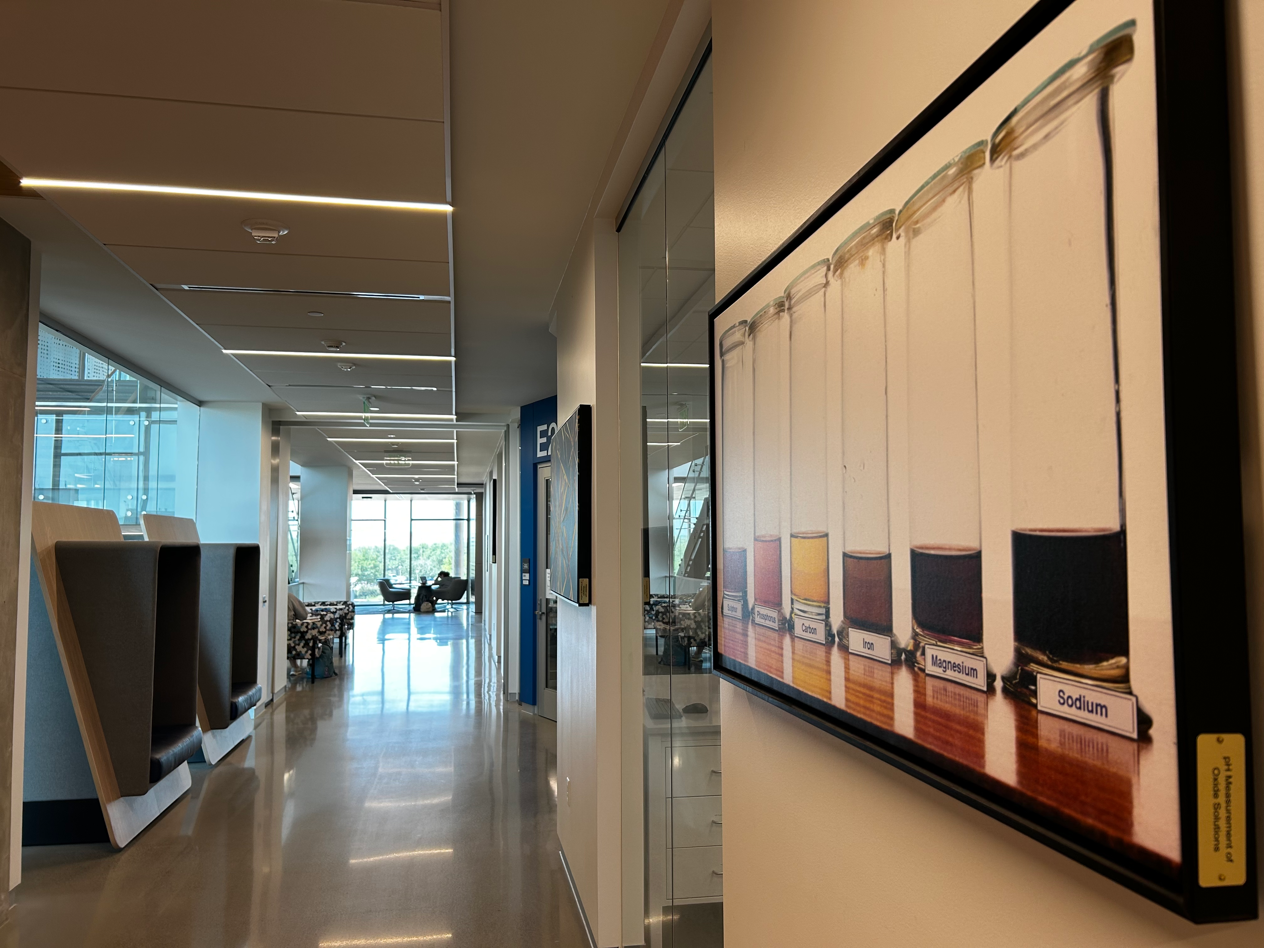 Texas A&M University displays